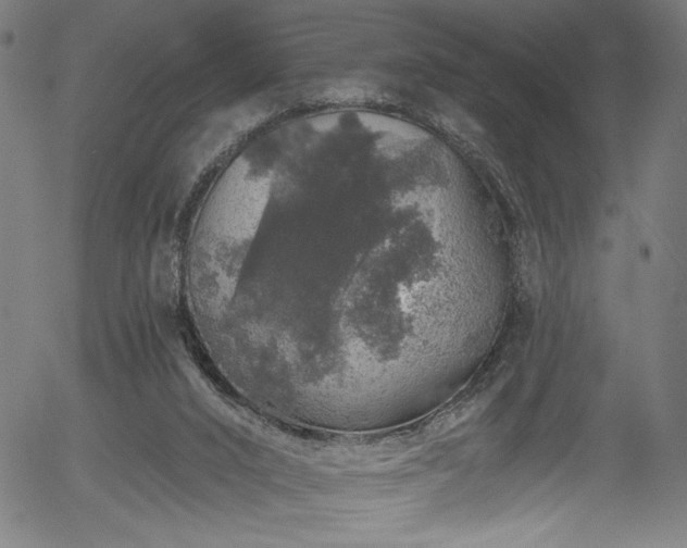 X0000056370016200508291413