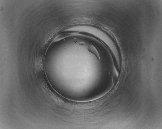 X0000056370017200508291413