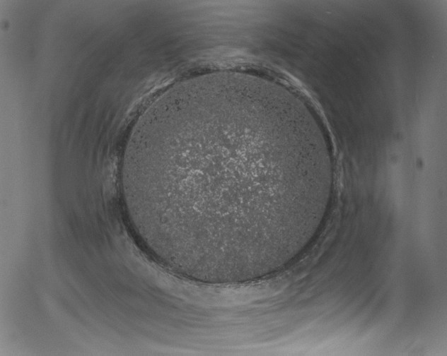 X0000056370018200508291413