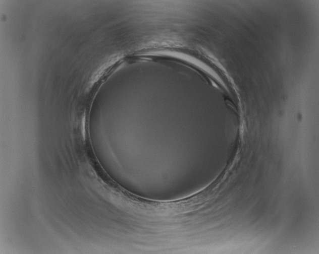 X0000056370019200508291413