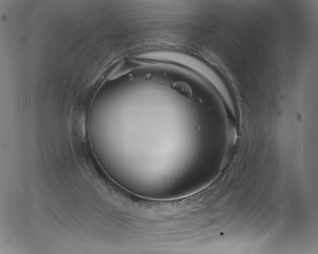 X0000056370021200508291413