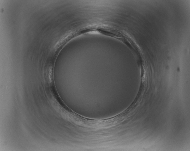 X0000056370023200508291413