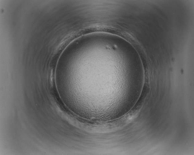 X0000056370024200508291413