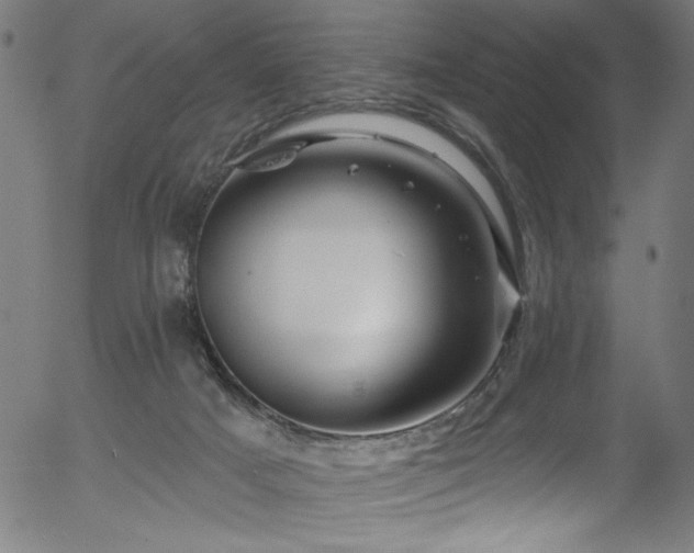 X0000056370025200508291413