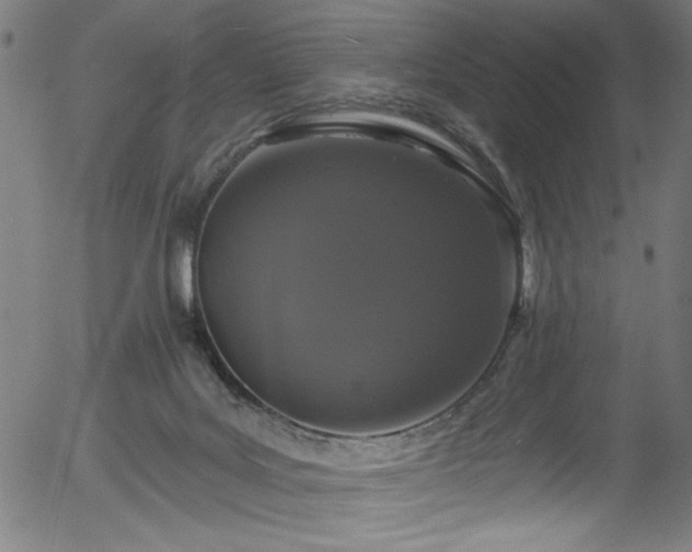 X0000056370027200508291413