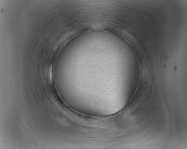 X0000056370028200508291413