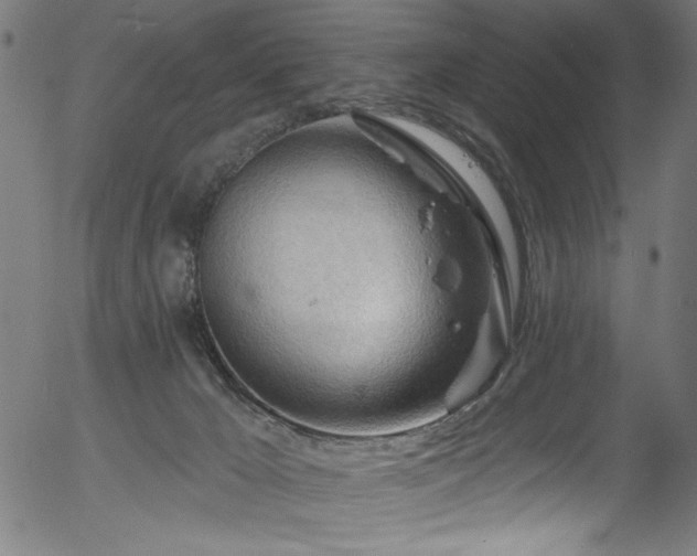 X0000056370029200508291413