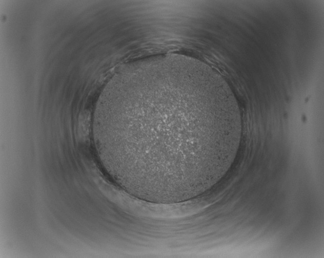 X0000056370030200508291413