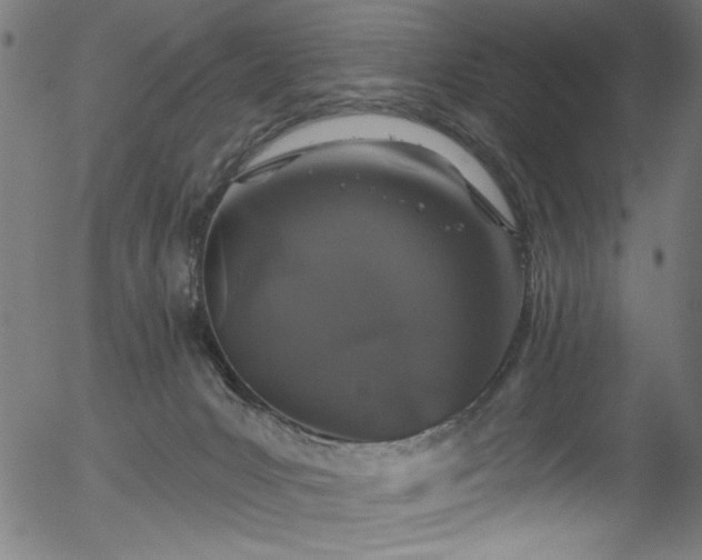 X0000056370031200508291413