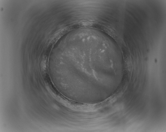 X0000056370032200508291413