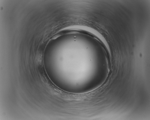 X0000056370033200508291413