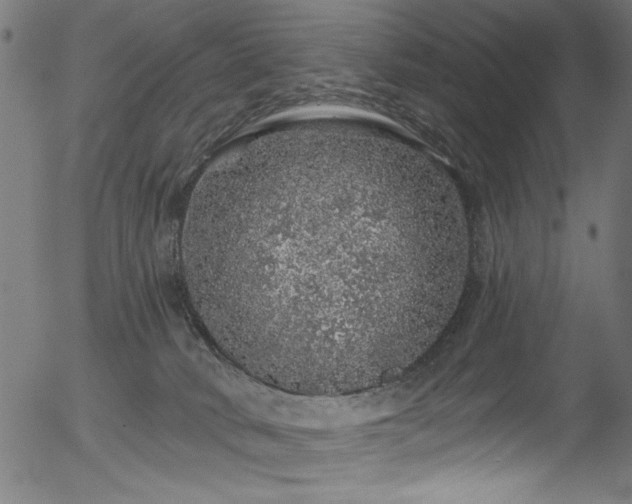 X0000056370034200508291412