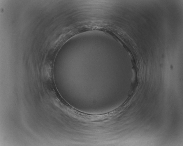 X0000056370035200508291412