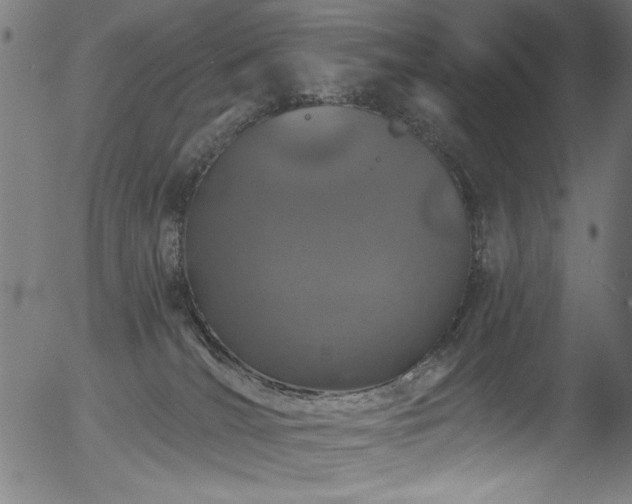 X0000056370036200508291412