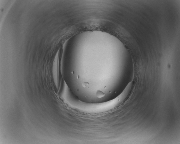 X0000056370037200508291412