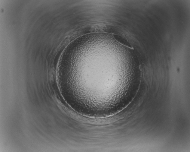 X0000056370038200508291412