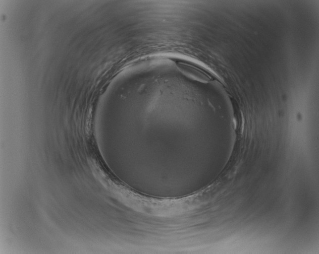 X0000056370039200508291412