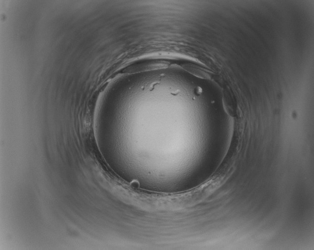 X0000056370040200508291412