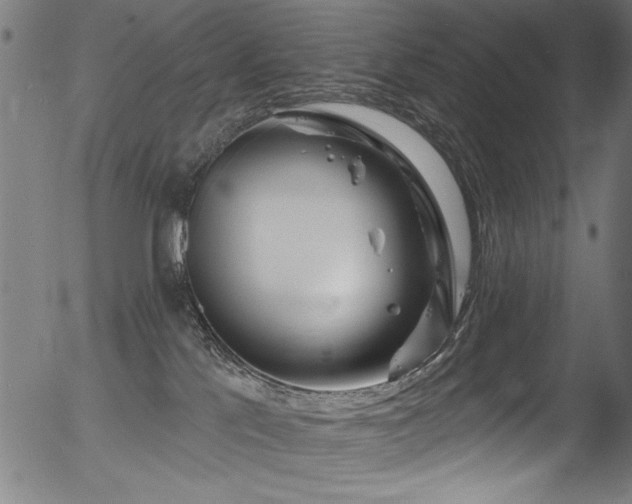 X0000056370041200508291412