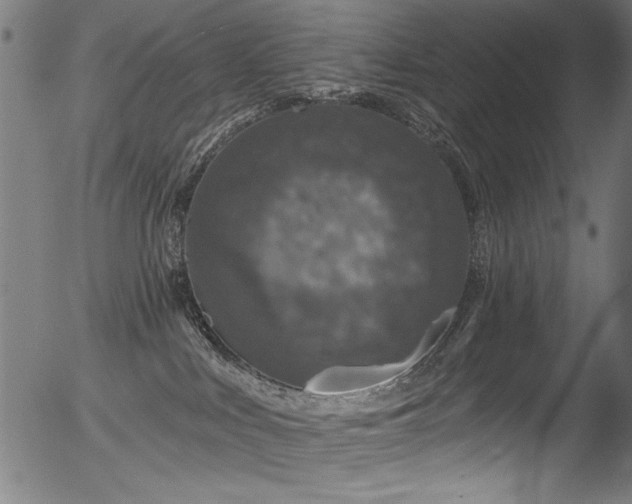 X0000056370043200508291412