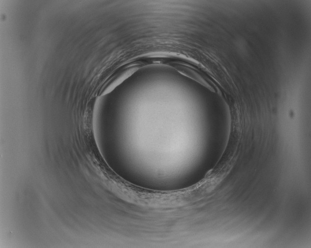 X0000056370044200508291412