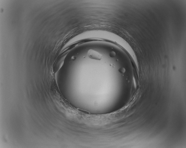 X0000056370045200508291412