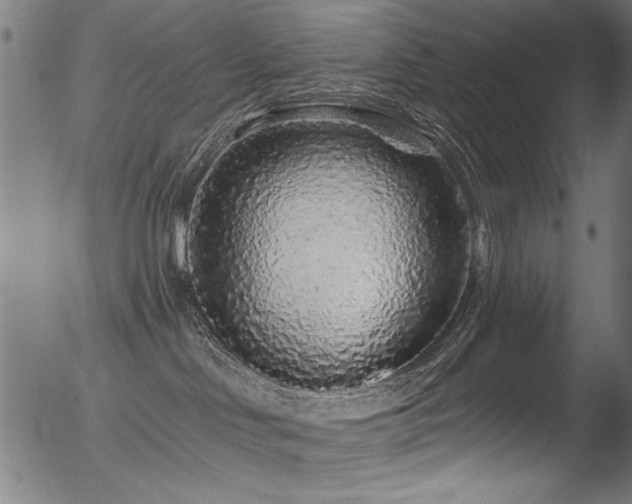 X0000056370046200508291412