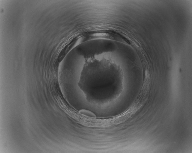 X0000056370048200508291412