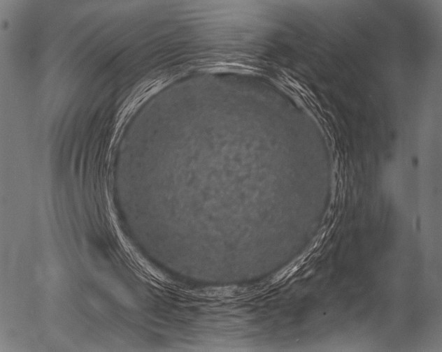 X0000056370049200508291411