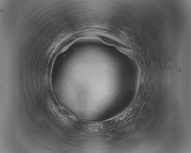 X0000056370050200508291411