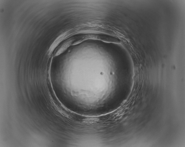 X0000056370051200508291411