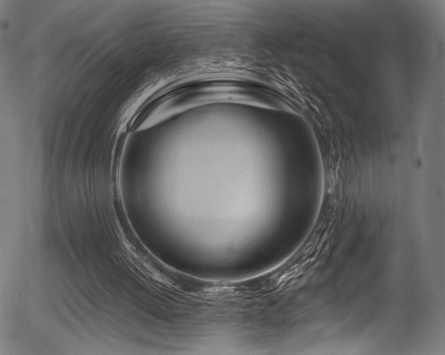 X0000056370052200508291411