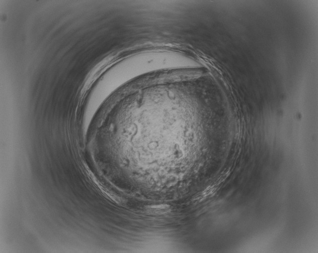 X0000056370053200508291411