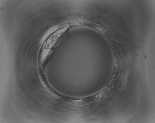 X0000056370054200508291411