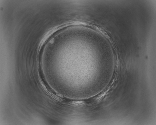 X0000056370055200508291411