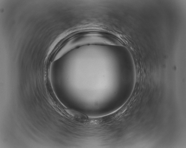 X0000056370056200508291411