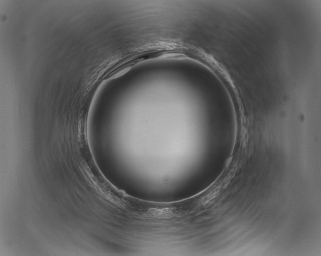 X0000056370057200508291411