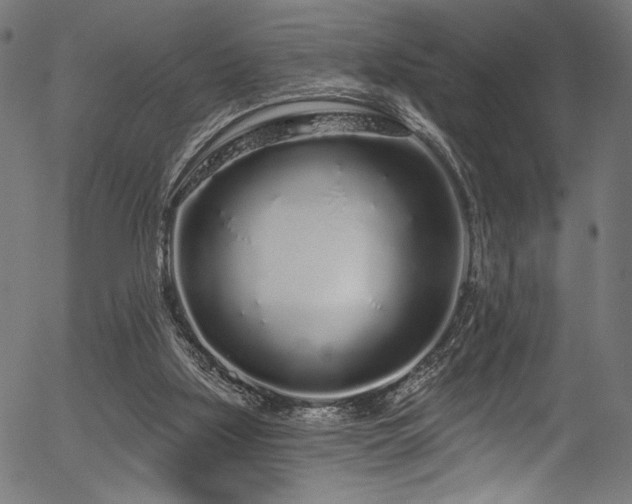 X0000056370059200508291412