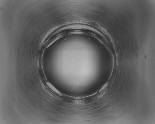 X0000056370060200508291412