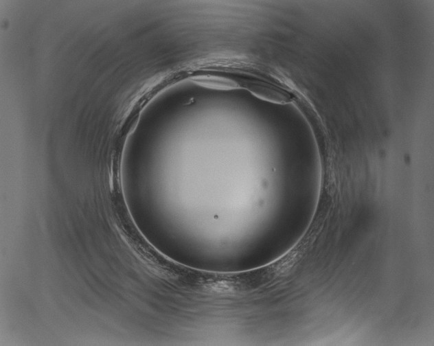 X0000056370062200508291412