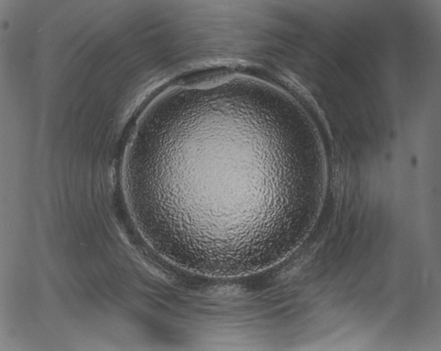 X0000056370063200508291412