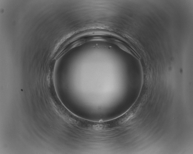 X0000056370064200508291412