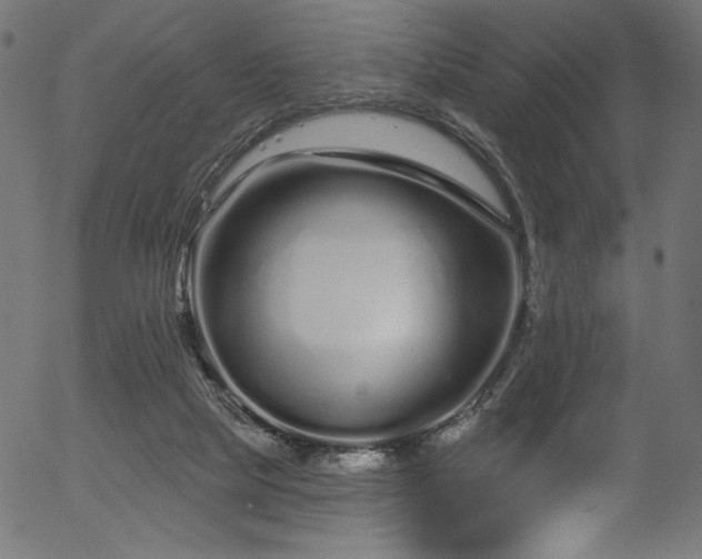 X0000056370065200508291412