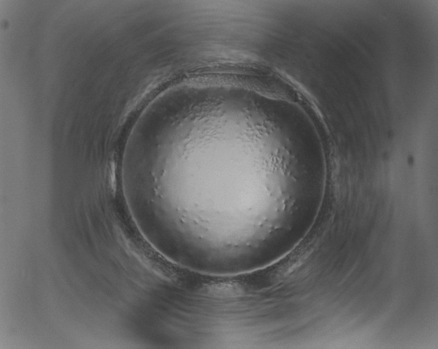 X0000056370067200508291412