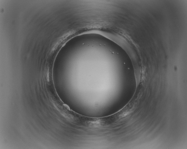 X0000056370068200508291412