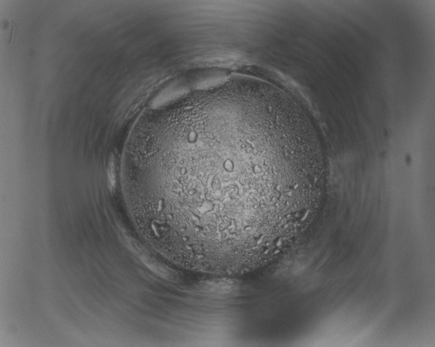 X0000056370069200508291412