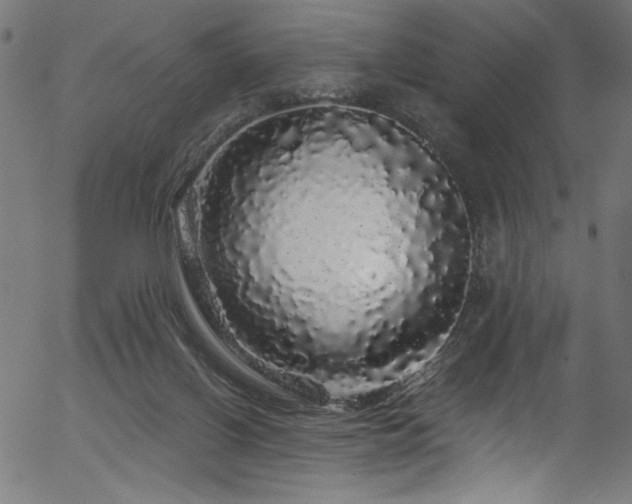 X0000056370070200508291412