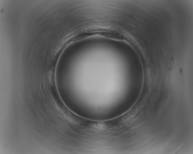 X0000056370071200508291412