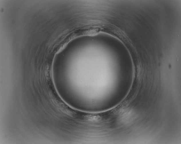 X0000056370073200508291412