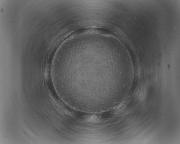 X0000056370074200508291412